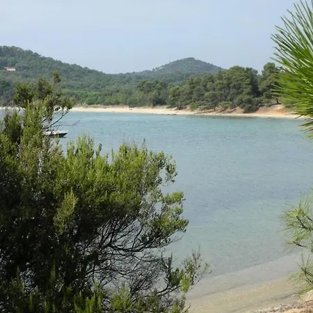 Camping Confortable Avec Terrasse - Api-1-52-320 *