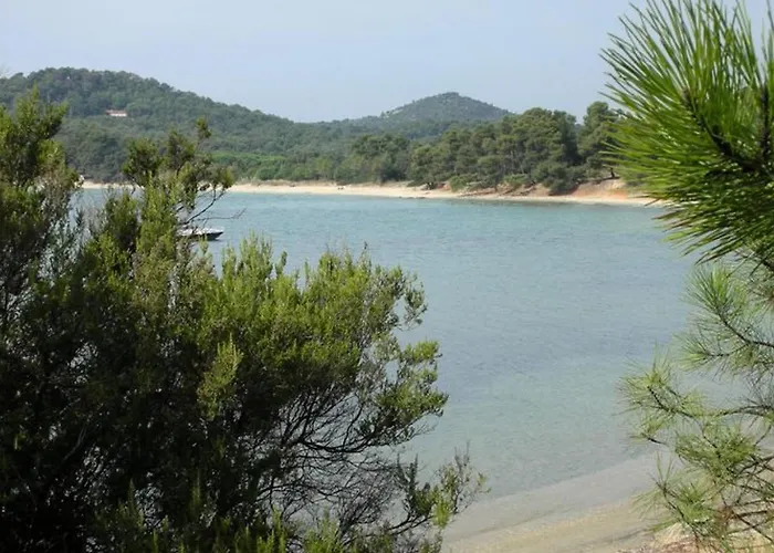 キャンプ場 Confortable Avec Terrasse - Api-1-52-320 *